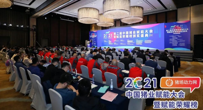 正康生?Plus榮獲“2021年度匠心飼料添加劑”！